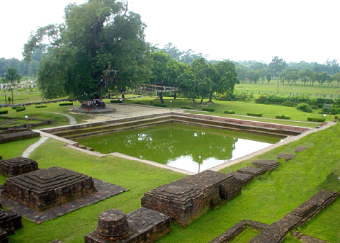Cây Bồ Đề thiêng và giếng thiêng - Sacred Bodhi tree and the sacred pond